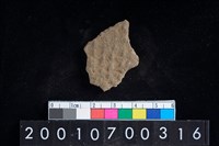 藏品(陶腹片)的圖片