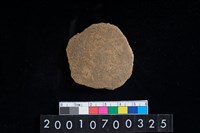 藏品(陶腹片)的圖片