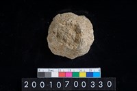 藏品(陶蓋把)的圖片