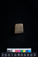 藏品(有段石錛)的圖片