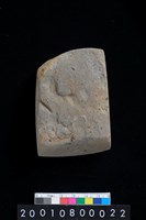 藏品(有段石錛)的圖片