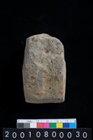 藏品(有段石錛)的圖片