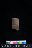 藏品(有段石錛)的圖片