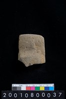 藏品(有段石錛)的圖片