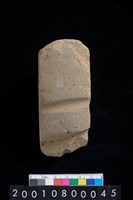 藏品(有段石錛)的圖片