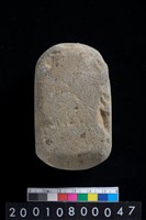 藏品(有段石錛)的圖片