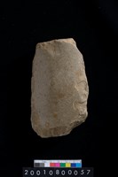 藏品(石斧)的圖片