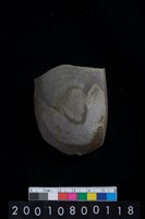 藏品(不明石器)的圖片