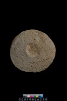 藏品(石蓋)的圖片