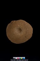 藏品(石錘)的圖片