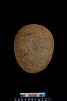 藏品(石錘)的圖片