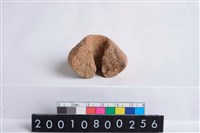 藏品(陶紡輪)的圖片