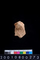 藏品(鈕把)的圖片