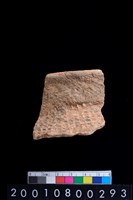 藏品(罐口緣)的圖片