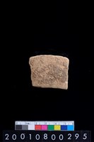 藏品(腹片)的圖片