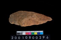 藏品(腹片)的圖片