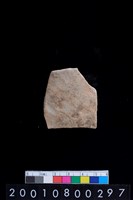 藏品(腹片)的圖片