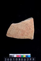 藏品(腹片)的圖片