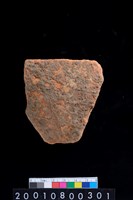 藏品(腹片)的圖片