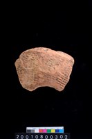 藏品(腹片)的圖片