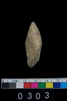 藏品(獸骨)的圖片