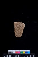 藏品(腹片)的圖片