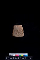 藏品(腹片)的圖片