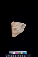 藏品(腹片)的圖片