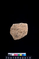 藏品(腹片)的圖片