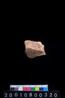 藏品(腹片)的圖片