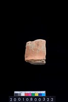 藏品(腹片)的圖片