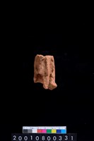 藏品(不明陶器)的圖片