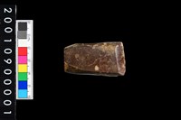 藏品(有段石錛)的圖片