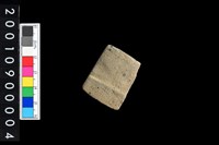 藏品(有段石錛)的圖片