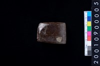 藏品(有段石錛)的圖片