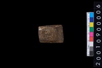 藏品(有段石錛)的圖片