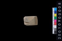 藏品(有段石錛)的圖片