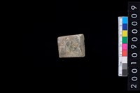 藏品(玉錛)的圖片