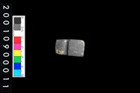 藏品(有段石錛)的圖片