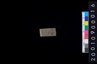 藏品(石錛)的圖片