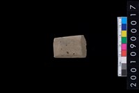 藏品(石錛)的圖片