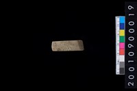 藏品(石錛)的圖片