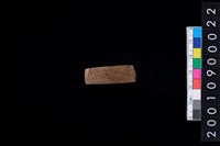 藏品(有段石錛)的圖片