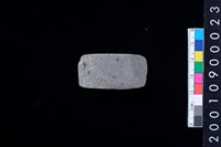 藏品(石錛)的圖片