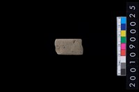 藏品(石錛)的圖片