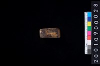 藏品(有段石錛)的圖片