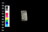 藏品(有段石錛)的圖片