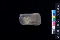 藏品(有段石錛)的圖片