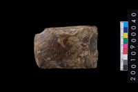 藏品(有段石錛)的圖片