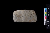 藏品(有段石錛)的圖片